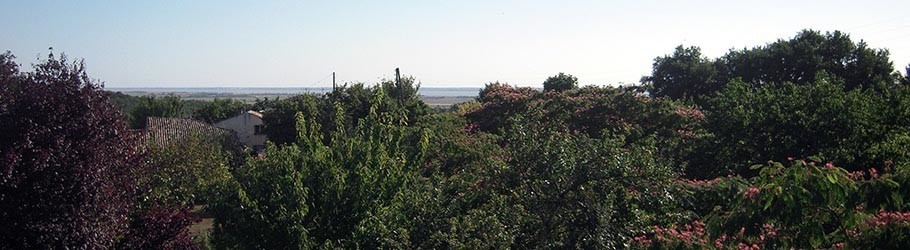 Vue sur le jardin et l’estuaire depuis les chambres d'hôtes