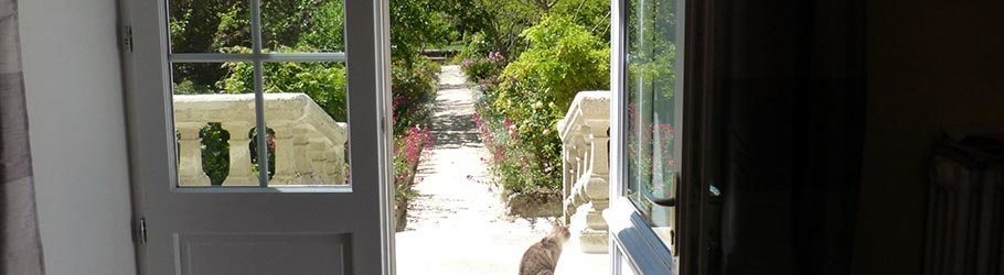 Wie die Katzin auf dieTreppe, viel spass unter die Sonne in dem Garten!