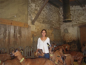 A young girl in the middle of goats