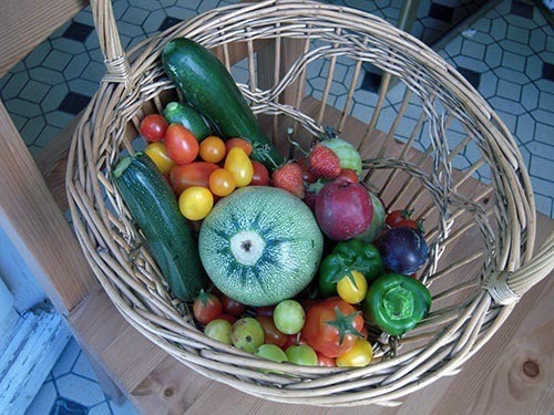 Ein Korb voll mit Biogemüse und Früchten aus dem Garten für einen vegetarischen Aufenthalt