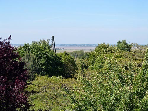 Blick auf den Garten und auf den Ästuar von dem Zimmer Holz und Natur