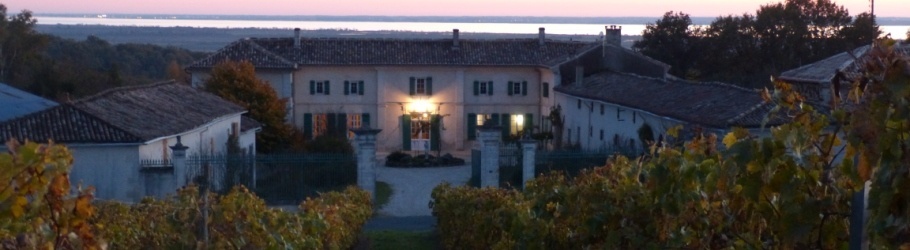 the house in the middle of Cognac vineyards in automn